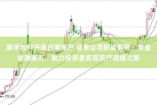 新手如何开通股票账户 证券公司职能解析：专业金融服务，助力投资者实现资产增值之路