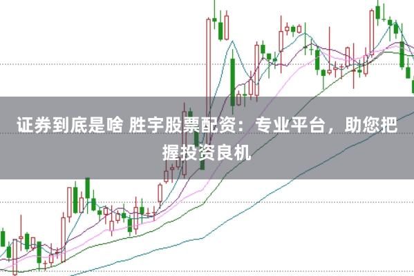 证券到底是啥 胜宇股票配资：专业平台，助您把握投资良机