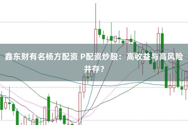鑫东财有名杨方配资 P配资炒股：高收益与高风险并存？