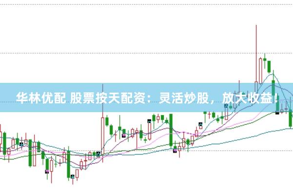 华林优配 股票按天配资：灵活炒股，放大收益！