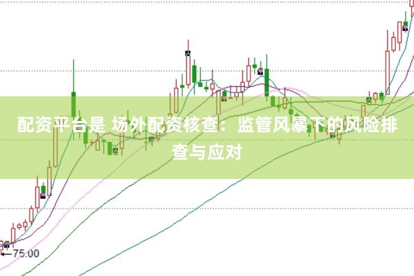 配资平台是 场外配资核查:监管风暴下的风险排查与应对