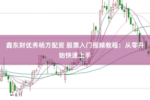 鑫东财优秀杨方配资 股票入门视频教程：从零开始快速上手