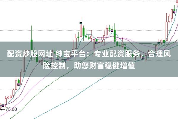 配资炒股网址 绅宝平台:专业配资服务,合理风险控制,助您财富稳健增值