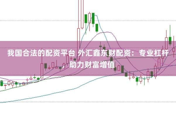 我国合法的配资平台 外汇鑫东财配资:专业杠杆,助力财富增值
