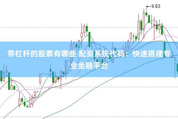 带杠杆的股票有哪些 配资系统代码:快速搭建专业金融平台