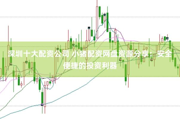 深圳十大配资公司 小猪配资网盘资源分享:安全便捷的投资利器